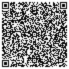 QR code with Pump Solutions Group Qk contacts