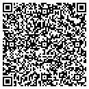 QR code with Carl Concrete Inc contacts