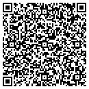 QR code with Precise Realty contacts