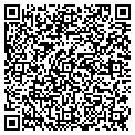 QR code with Petals contacts