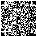 QR code with Castle Consulatants contacts