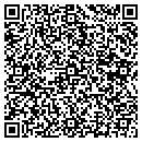QR code with Premiere Motors LLC contacts