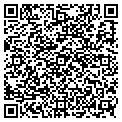 QR code with Nyland contacts