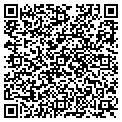 QR code with Dillon contacts