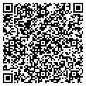 QR code with Dillon contacts