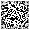 QR code with Dillon contacts