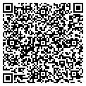QR code with Dillon contacts