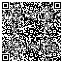 QR code with Cdi Search Group contacts