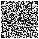 QR code with Public Storage contacts