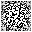 QR code with Colors of Texas contacts