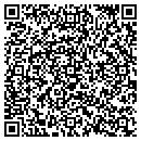 QR code with Team Windows contacts