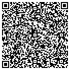 QR code with Blue Ridge Document Shred contacts