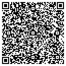 QR code with Bluewire Technology contacts