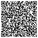 QR code with China Business Group contacts