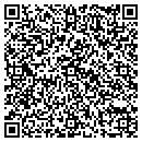 QR code with Production Pro contacts