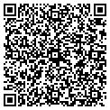 QR code with Wise Window contacts