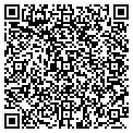 QR code with Dfw Moving Systems contacts
