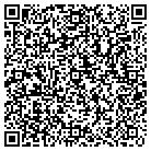 QR code with Punta Gorda Signs & More contacts