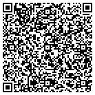 QR code with Professional Window Tint contacts