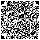 QR code with Spring Silver Ranch Inc contacts