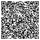 QR code with Pro Window & Siding contacts