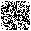 QR code with Progessive Windows Inc contacts