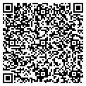 QR code with Amden contacts