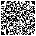 QR code with Alston contacts