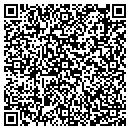 QR code with Chicago Fine Motors contacts