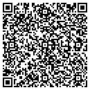 QR code with Carpathia Hosting Inc contacts