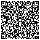 QR code with Pristine Motors Inc contacts