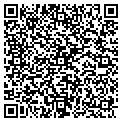 QR code with Purview It Inc contacts