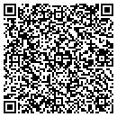 QR code with Castelanelli Brothers contacts