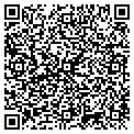 QR code with Tilt contacts