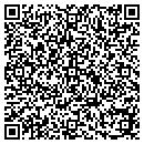 QR code with Cyber Networks contacts