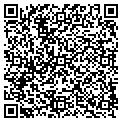 QR code with IBEW contacts