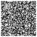 QR code with Puget Sound Dive contacts