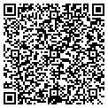 QR code with New Level Bail contacts