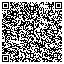 QR code with Pro Temp Inc contacts