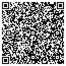 QR code with Costopoulos James C contacts