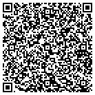 QR code with Premiere Window Tinting contacts