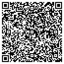 QR code with Protiro Inc contacts