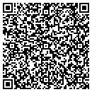 QR code with Clear Skies Virtual contacts