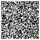 QR code with Pragmatic Systems contacts