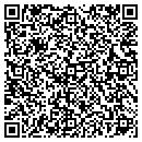 QR code with Prime Time Motors LLC contacts