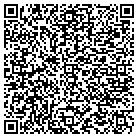 QR code with Chicagoland Window Wizards LLC contacts