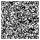 QR code with Crystal View Windows contacts