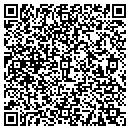 QR code with Premier Window Tinting contacts