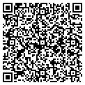 QR code with T Delta Group contacts