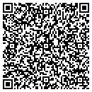 QR code with Pro-Link Inc contacts